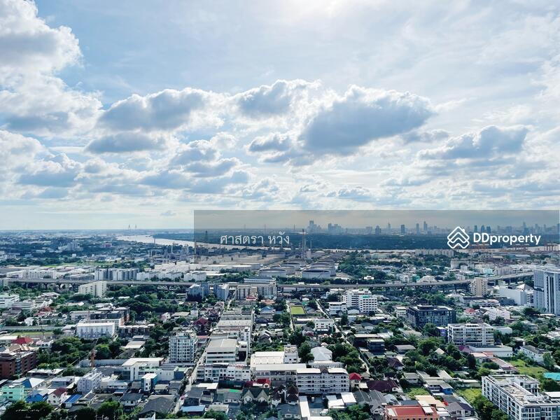 The Line Sukhumvit 101 : เดอะ ไลน์ สุขุมวิท 101, กรุงเทพ, 3009 สุขุมวิท 101, บางจาก, พระโขนง, กรุงเทพ, 33 ตร.ม., คอนโด ให้เช่า, โดย Sarttra Wang, 10528324 - DDproperty.com