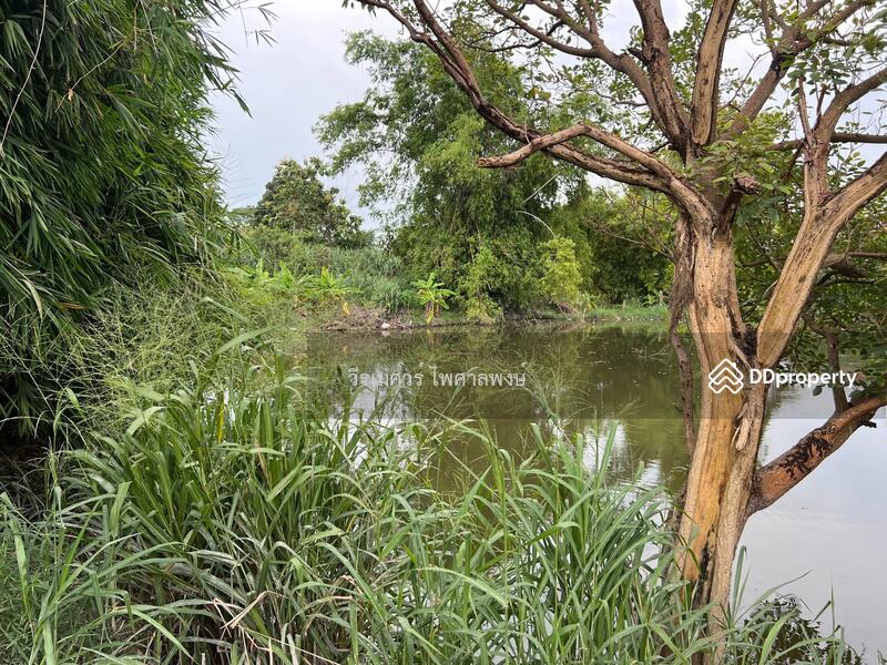ที่ดินถนนเครือสหพัฒน์ (ใกล้ท่าเรือแหลมฉบัง เขตชุมชนเมืองมีความเจริญ) 10-1-93 ไร่ ผังสีส้ม ถนน 8 m.