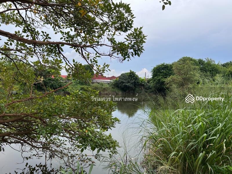 ที่ดินถนนเครือสหพัฒน์ (ใกล้ท่าเรือแหลมฉบัง เขตชุมชนเมืองมีความเจริญ) 10-1-93 ไร่ ผังสีส้ม ถนน 8 m.