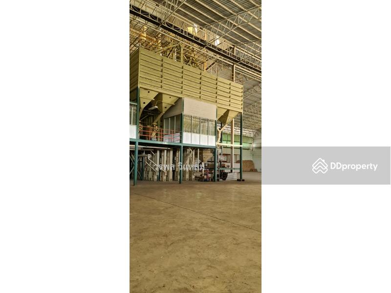 ขายที่ดินพร้อมโรงสีข้าว, Phayao, Sop Bong, Phu Sang, Phayao, , 48,000 sqm, Land For Sale, by วรพล วิแหลม, 10528559 - DDproperty.com