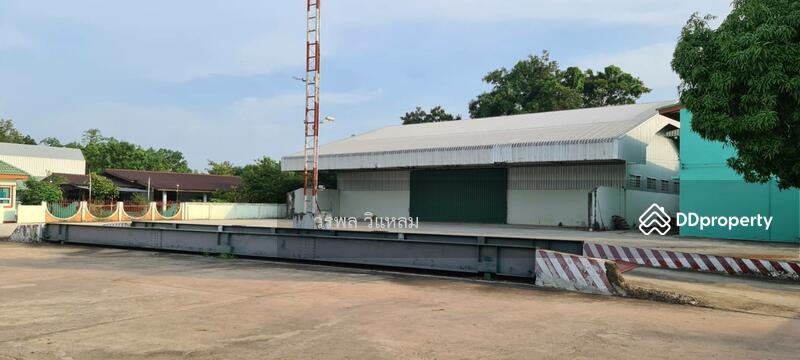 ขายที่ดินพร้อมโรงสีข้าว, Phayao, Sop Bong, Phu Sang, Phayao, , 48,000 sqm, Land For Sale, by วรพล วิแหลม, 10528559 - DDproperty.com