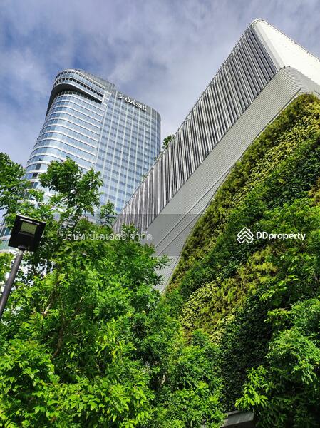 ให้เช่า - อาคาร เอส-โอเอซิส ( S-Oasis Office Building ), กรุงเทพ