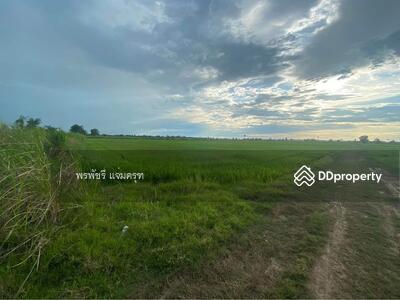ขาย - ที่นา พิจิตร, พิจิตร