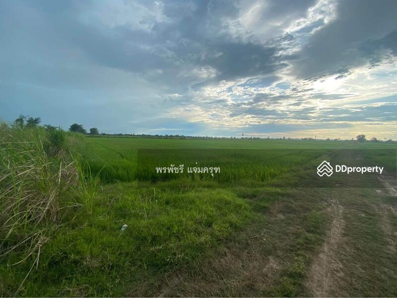 ขาย - ที่นา พิจิตร, พิจิตร