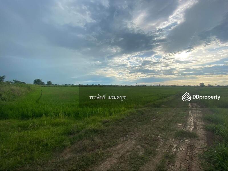 ขาย - ที่นา พิจิตร, พิจิตร