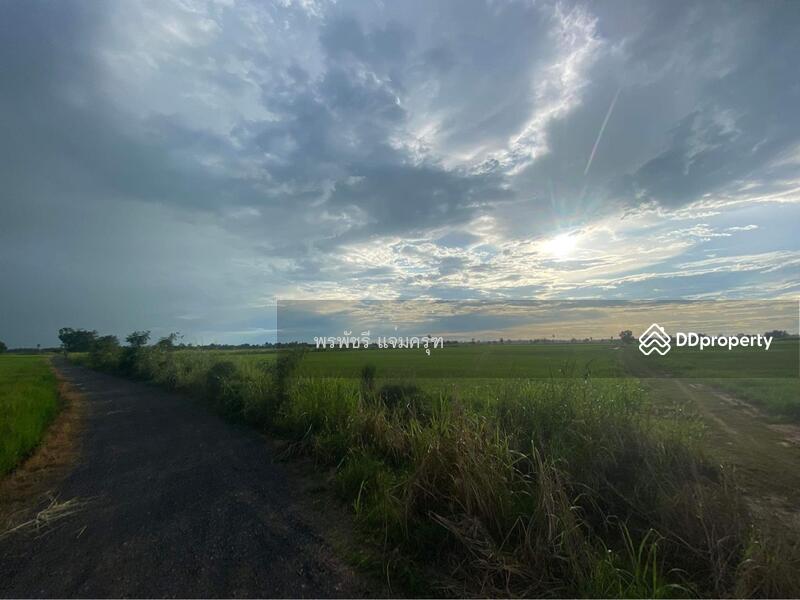 ขาย - ที่นา พิจิตร, พิจิตร