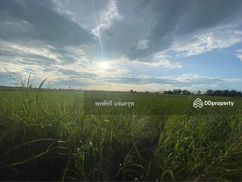 ขาย - ที่นา พิจิตร, พิจิตร