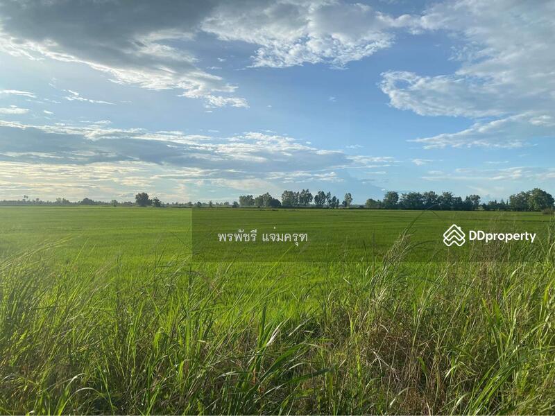ขาย - ที่นา พิจิตร, พิจิตร