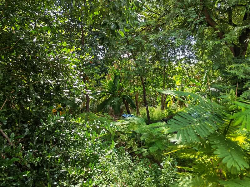 7 rais of land Ratburana, Bangkok, Rat Burana, Rat Burana, Bangkok, , 12,000 sqm, Land For Sale, by กิตติศักดิ์ ภคศิริ, 10534035 - DDproperty.com