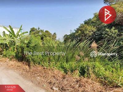 ขาย - ที่ดินคูบางหลวง ปทุมธานี, ปทุมธานี