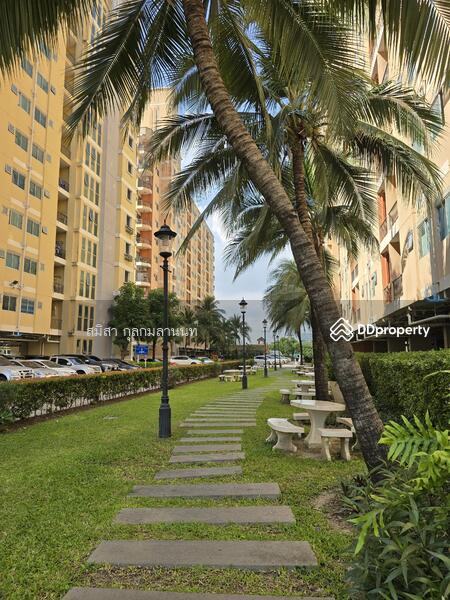 City Home Srinakarin, Bangkok, - Soi La Salle, Srinakarin Road, Bang Na, Bang Na, Bangkok, 1 Bedroom, 30 sqm, Condo For Rent, by สมิสา กุลกมลานนท์, 10539845 - DDproperty.com