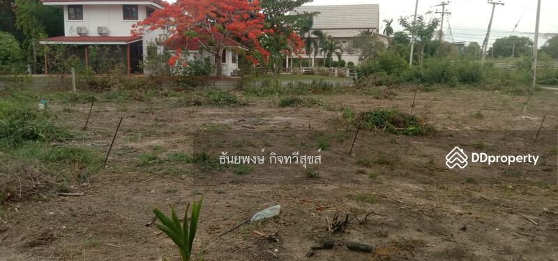 ขาย - หาดชะอำเพชรบุรี, เพชรบุรี
