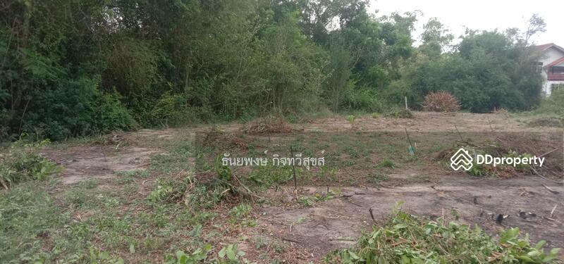 ขาย - หาดชะอำเพชรบุรี, เพชรบุรี