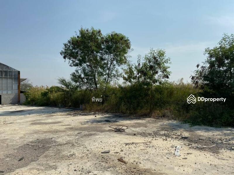 For Sale - ขายที่ ดิน กำแพงแสน นครปฐม, Nakhon Pathom