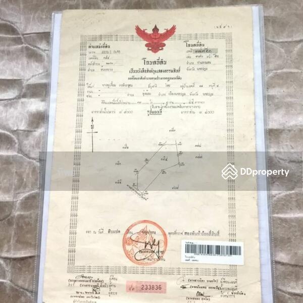 For Sale - ขายที่ ดิน กำแพงแสน นครปฐม, Nakhon Pathom