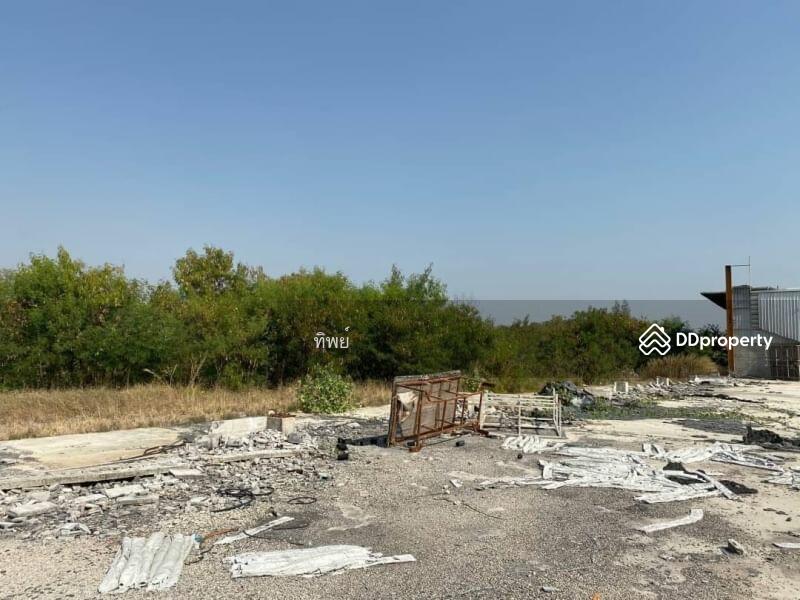 For Sale - ขายที่ ดิน กำแพงแสน นครปฐม, Nakhon Pathom