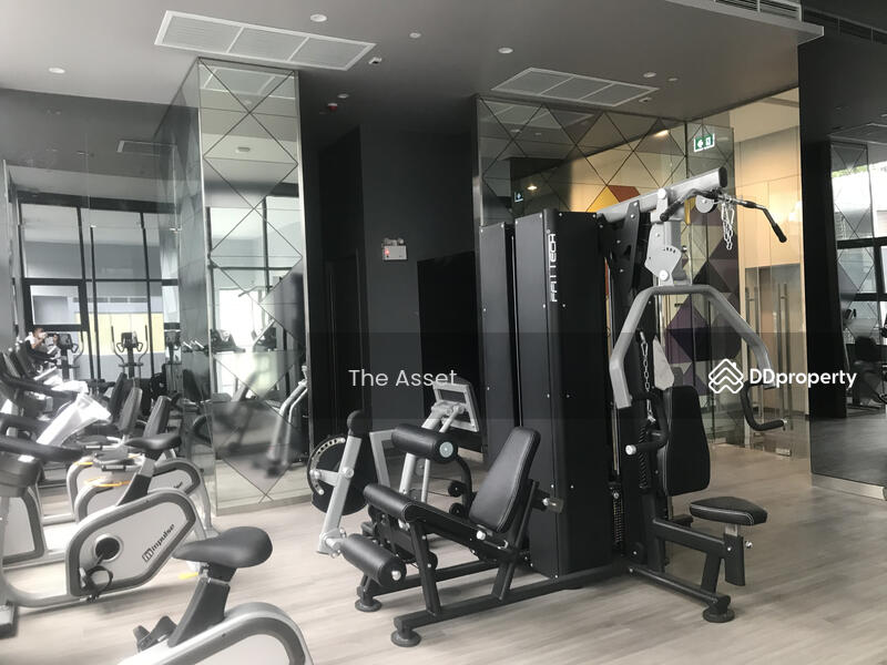 Siamese Sukhumvit 48 : ไซมิส สุขุมวิท 48, กรุงเทพ, 1498 ซอยสุขุมวิท 48, พระโขนง, คลองเตย, กรุงเทพ, 37 ตร.ม., คอนโด ให้เช่า, โดย มานพ พันธ์สุขเลิศ, 10544384 - DDproperty.com