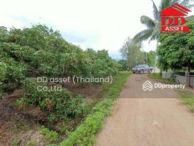 ขาย - สันป่าตอง เชียงใหม่, เชียงใหม่