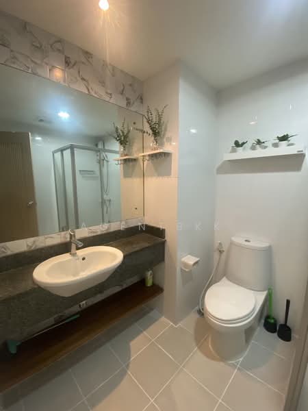 The Link Sukhumvit 50, Bangkok, Soi Sukhumvit 50, Sukhumvit Road, Phra Kanong, Khlong Toei, Bangkok, 1 Bedroom, 31 sqm, Condo For Rent, by Agentbkk, 10556023 - DDproperty.com