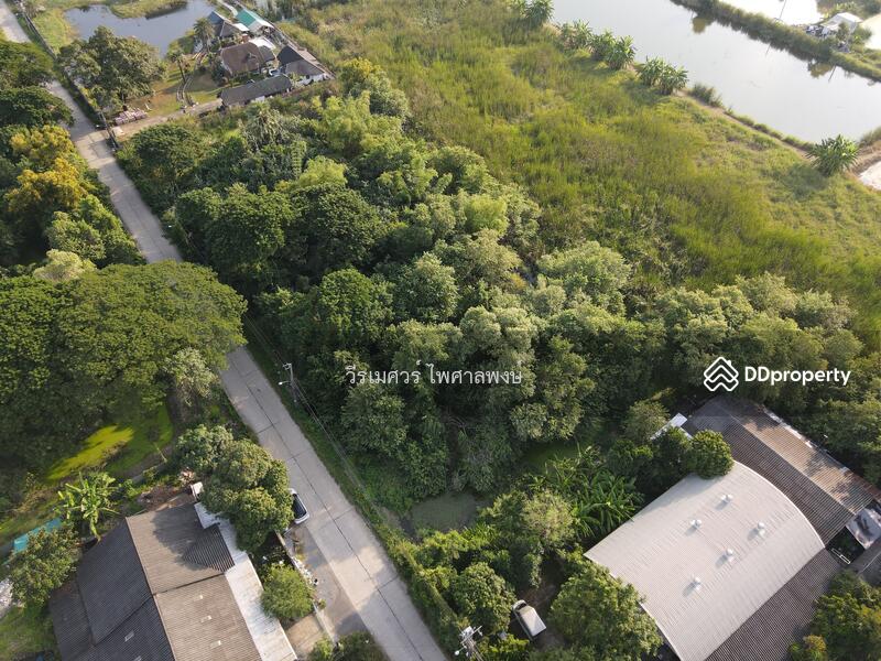 ที่ดินถนนประชาร่วมใจ แขวงทรายกองดินใต้ เขตคลองสามวา (เหมาะสร้าง โกดัง + สำนักงาน + บ้าน) 3-2-48 ไร่