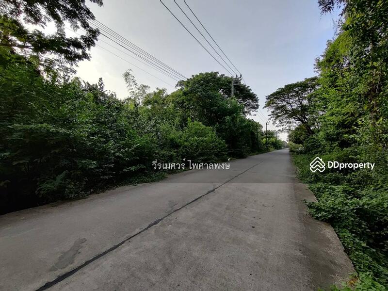 ที่ดินถนนประชาร่วมใจ แขวงทรายกองดินใต้ เขตคลองสามวา (เหมาะสร้าง โกดัง + สำนักงาน + บ้าน) 3-2-48 ไร่