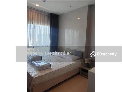 ขาย - The Tree Sukhumvit 71-Ekamai : เดอะทรี สุขุมวิท 71 – เอกมัย, กรุงเทพ