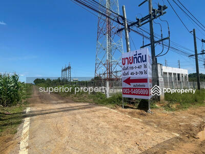 ขาย - ขายที่ดินแปลงสวย ขายถูก ติดถนน2ด้าน ถนนจันทบุรี-สระแก้ว ทล.317 ต่อรองได้, สระแก้ว