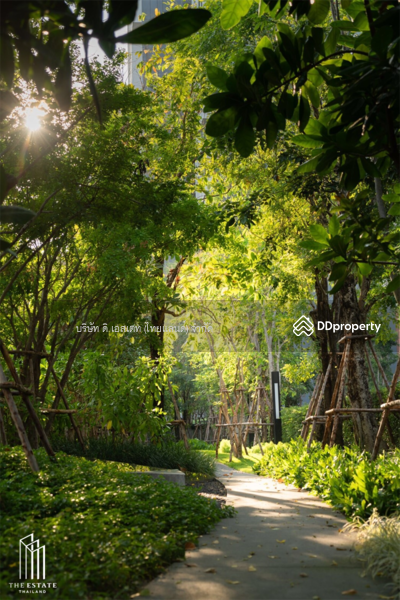 Whizdom Inspire Sukhumvit : วิซดอม อินสปาย สุขุมวิท, กรุงเทพ, ถนนสุขุมวิท, บางจาก, พระโขนง, กรุงเทพ, 32 ตร.ม., คอนโด ให้เช่า, โดย The Estate(Thailand)  Limited, 10562526 - DDproperty.com