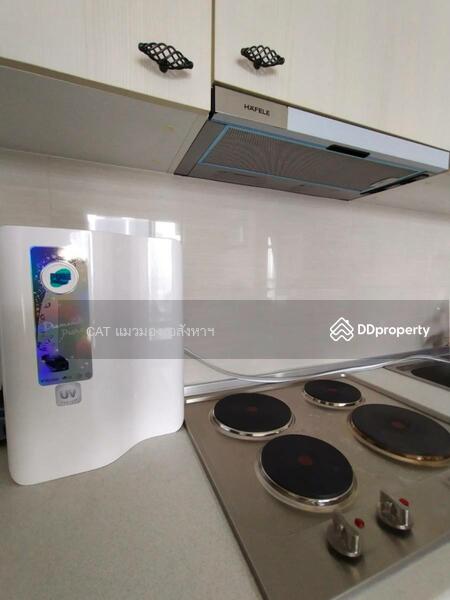 Manor Sanambinnam, Nonthaburi, 557 Nonthaburi Road, Bang Kra So, Muang Nonthaburi, Nonthaburi, 2 Bedrooms, 73 sqm, Condo For Rent, by Cat Real Estate (Thailand) Co., Ltd., 10565217 - DDproperty.com