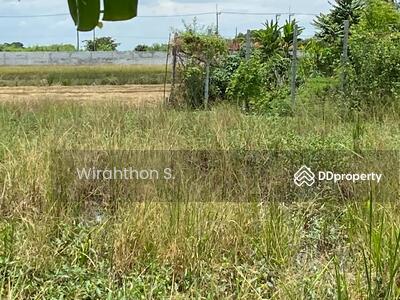 ขาย - ที่ดิน 200 ตรว., นครปฐม