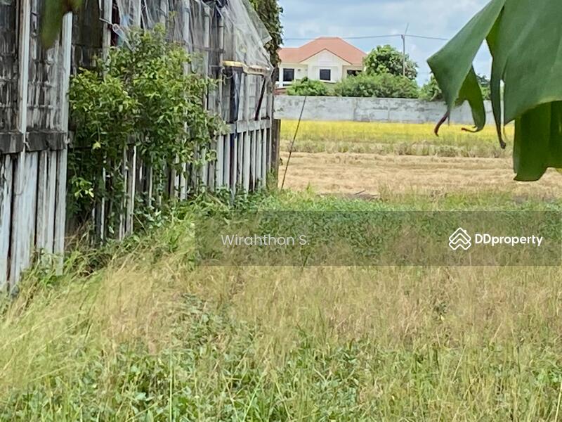 For Sale - ที่ดิน 200 ตรว., Nakhon Pathom