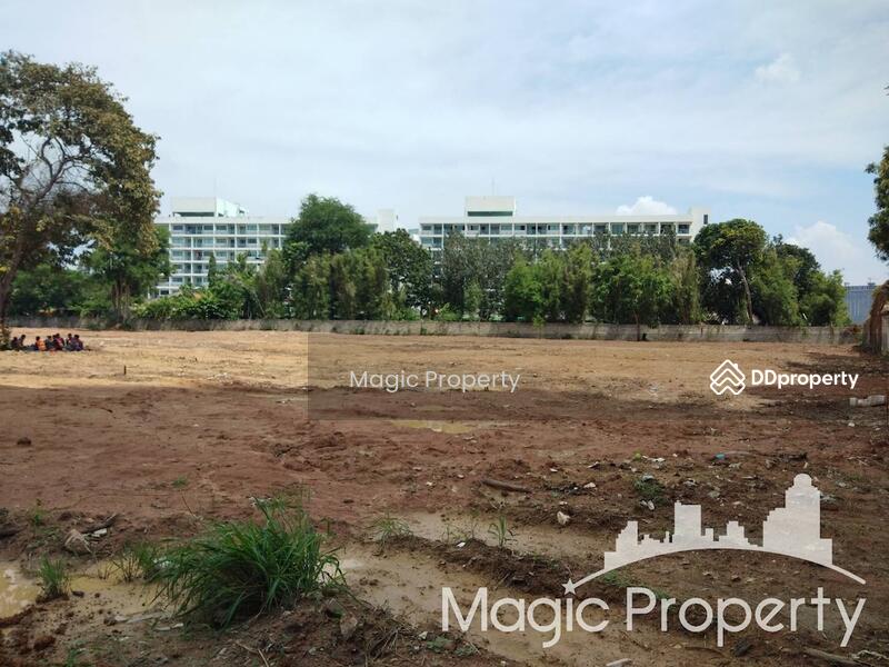Land For Sale in Jomtien Chonburi, Chon Buri (Pattaya), Bang Lamung, Bang Lamung (Pattaya), Chon Buri (Pattaya), , 8,220 sqm, Land For Sale, by Magic Property, 10566091 - DDproperty.com