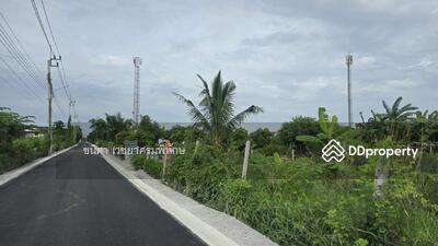 ขาย - ที่ดินเปล่า ใกล้เรือนประกายเพชร ใกล้ไทวัสดุบางบัวทอง, นนทบุรี