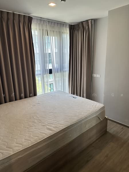 Kensington Rayong, Rayong, Noen Phra, Muang Rayong, Rayong, 2 Bedrooms, 37 sqm, Condo For Rent, by Napassorn Chankamnoed, 10571737 - DDproperty.com