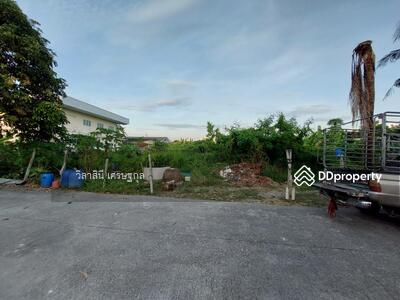 ขาย - ที่ดินบางม่วง-บางใหญ่ 731 ตารางวา, นนทบุรี