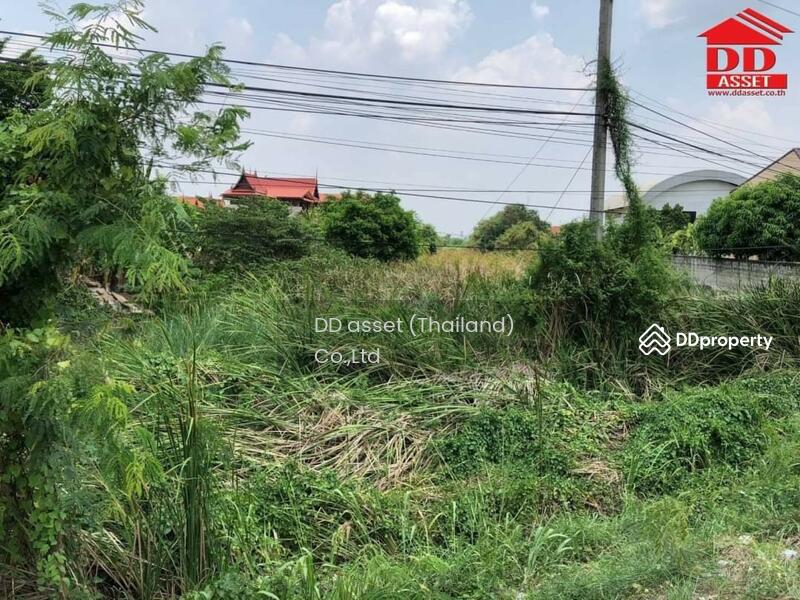 For Sale - 13000, Phra Nakhon Si Ayutthaya
