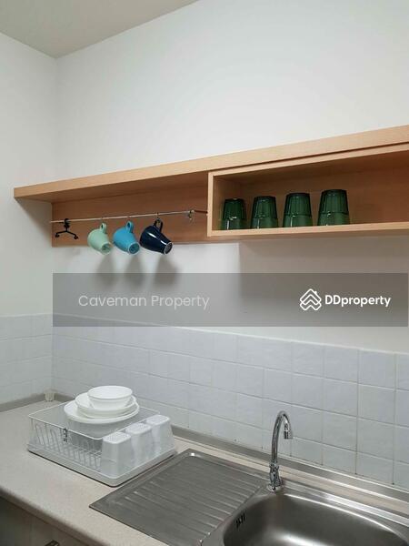 My Condo Sukhumvit 81, Bangkok, Soi Sukhumvit 81 Sukhumvit Road, Bang Chak, Phra Khanong, Bangkok, 1 Bedroom, 25 sqm, Condo For Rent, by Caveman Property, 10585708 - DDproperty.com