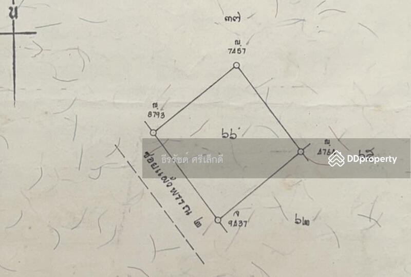 ให้เช่าที่ดินแปลงสวย ทำเลทองใจกลางเมืองสุราษฎร์ธานี