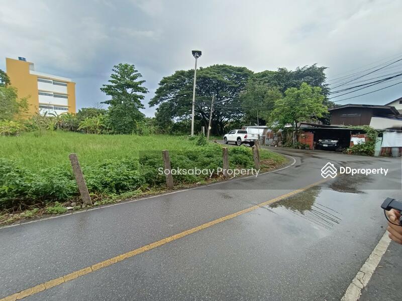 ที่ดินวัดเกต เมืองเชียงใหม่ ใกล้ซุปเปอร์ไฮเวย์ เหมาะทำธุรกิจ, เชียงใหม่, วัดเกต, เมืองเชียงใหม่, เชียงใหม่, 9,780 ตร.ม., ที่ดิน ขาย, โดย Nantawan Rattanapong, 10588788 - DDproperty.com