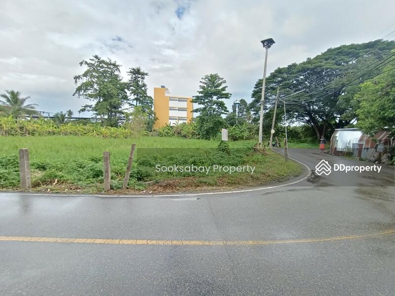 Land for sale just 700 m. from super highway road. (Chiang Mai - Lampang), chiang-mai, Wat Khet, Muang Chiang Mai, Chiang Mai, , 9,780 sqm, Land For Sale, by Nantawan Rattanapong, 10588788 - DDproperty.com