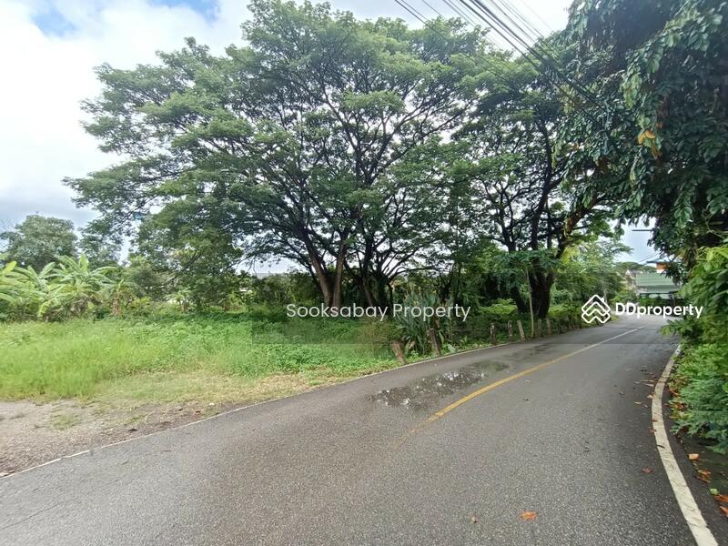 Land for sale just 700 m. from super highway road. (Chiang Mai - Lampang), chiang-mai, Wat Khet, Muang Chiang Mai, Chiang Mai, , 9,780 sqm, Land For Sale, by Nantawan Rattanapong, 10588788 - DDproperty.com