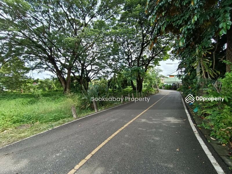 ที่ดินวัดเกต เมืองเชียงใหม่ ใกล้ซุปเปอร์ไฮเวย์ เหมาะทำธุรกิจ, เชียงใหม่, วัดเกต, เมืองเชียงใหม่, เชียงใหม่, 9,780 ตร.ม., ที่ดิน ขาย, โดย Nantawan Rattanapong, 10588788 - DDproperty.com