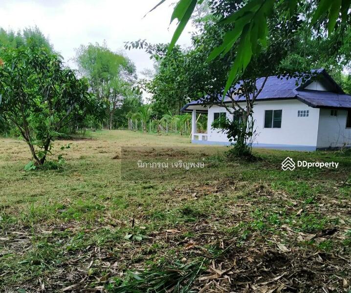 ขาย - ที่ดิน อ.สันทราย จ.เชียงใหม่, เชียงใหม่