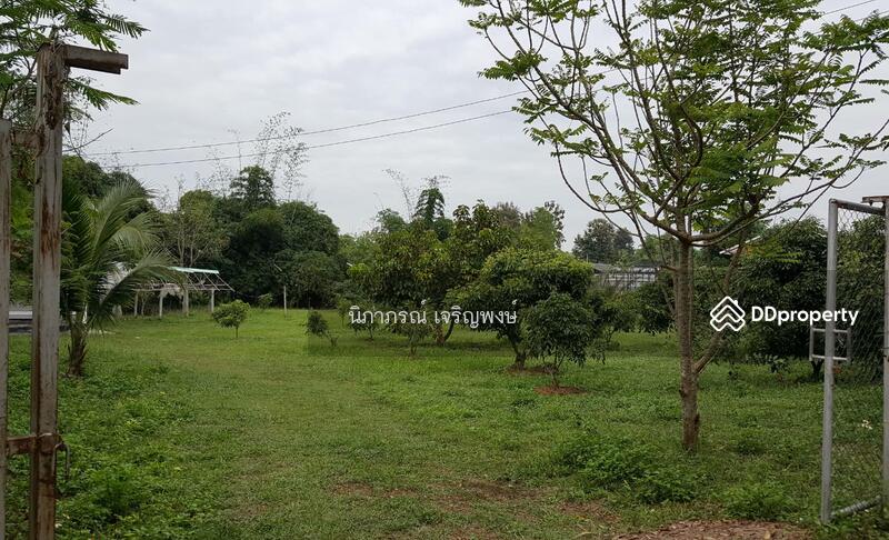 ขาย - ที่ดิน อ.สันทราย จ.เชียงใหม่, เชียงใหม่