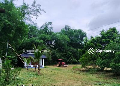 ขาย - ที่ดิน อ.สันทราย จ.เชียงใหม่, เชียงใหม่