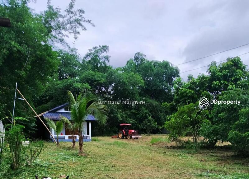 ขาย - ที่ดิน อ.สันทราย จ.เชียงใหม่, เชียงใหม่