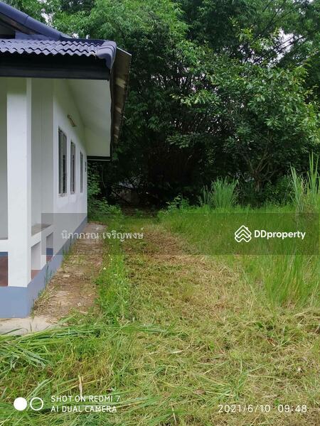 ขาย - ที่ดิน อ.สันทราย จ.เชียงใหม่, เชียงใหม่