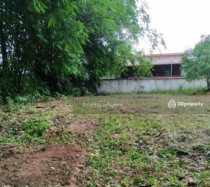 For Sale - Land @sunsai chaingmai, Chiang Mai
