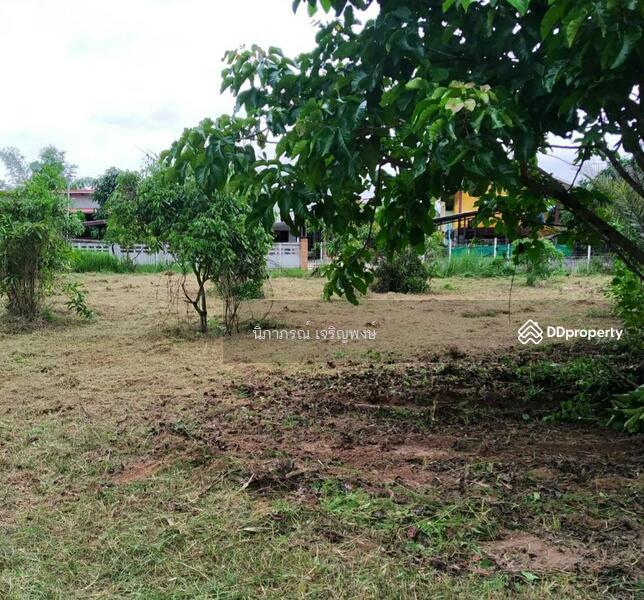 ขาย - ที่ดิน อ.สันทราย จ.เชียงใหม่, เชียงใหม่