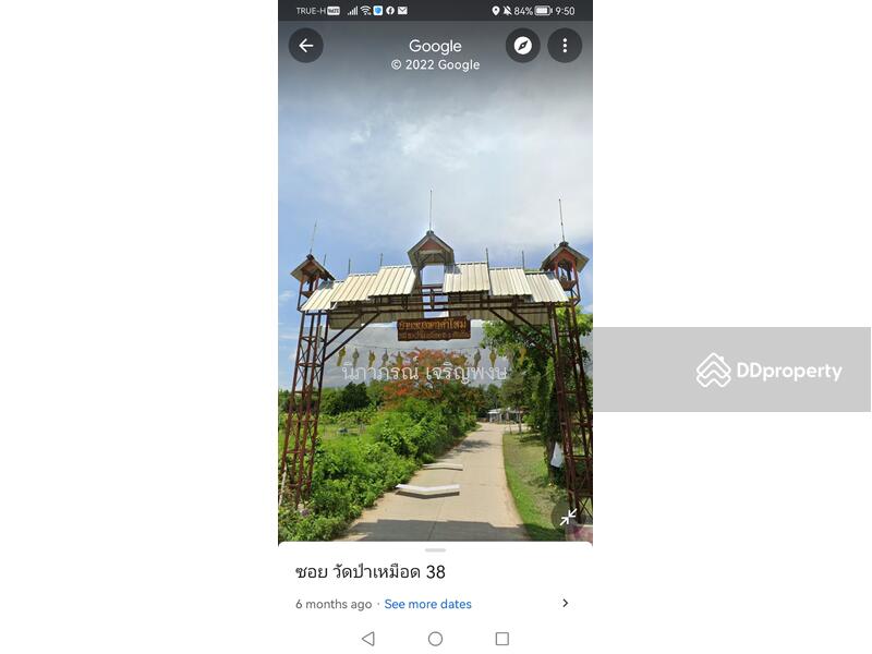 ขาย - ที่ดิน อ.สันทราย จ.เชียงใหม่, เชียงใหม่